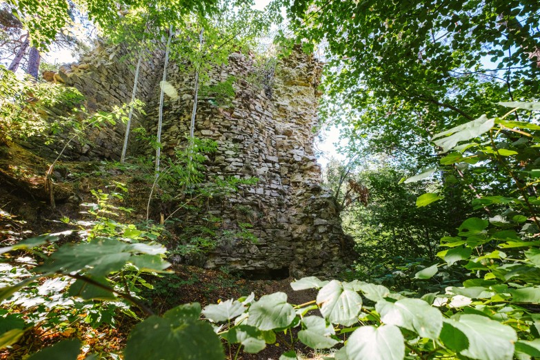 Zřícenina hradu Holoubek