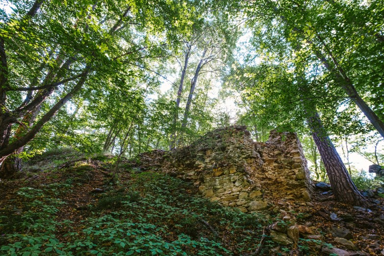 Zřícenina hradu Sedlecký hrad