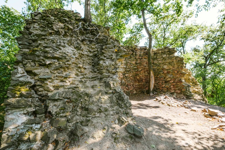 Zřícenina hradu Sedlecký hrad