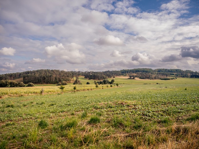 Krajina u Okřešic