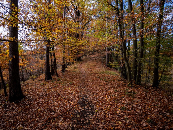 Kozí hřbety