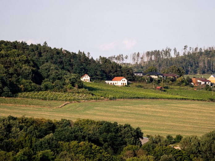 Vinařství Sádek