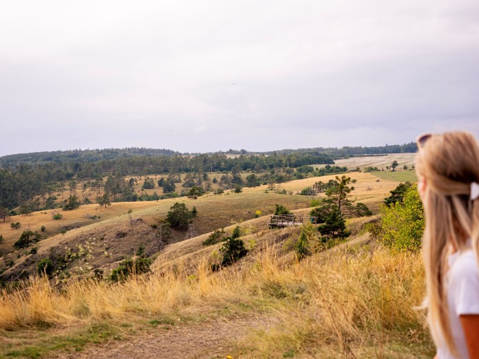 Mohelenská hadcová step