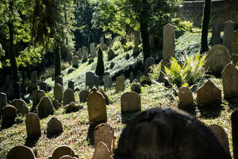 Židovský hřbitov je jeden z nejstarších a nejzachovalejších na našem území. Foto Adam Kubíček.