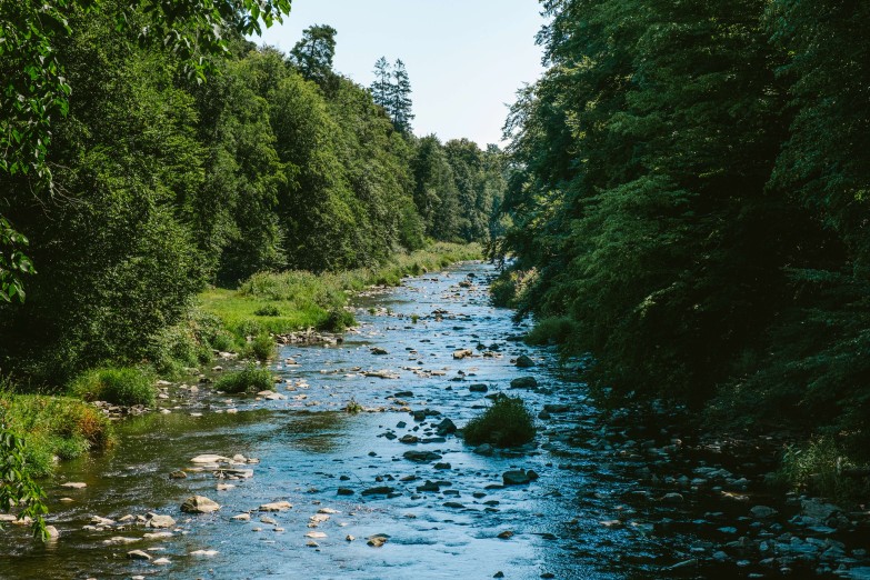 Údolí řeky Oslavy patří k nejkrásnějším na Vysočině. Foto Pavel Rybníček.