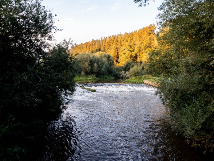 Řeka Jihlava protéká velkou částí Třebíčska. Foto Bára Jahodová.