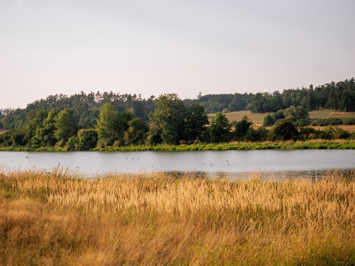 Trasa vede mezi rybníky typickými pro tuto část Vysočiny. Foto Bára Jahodová.