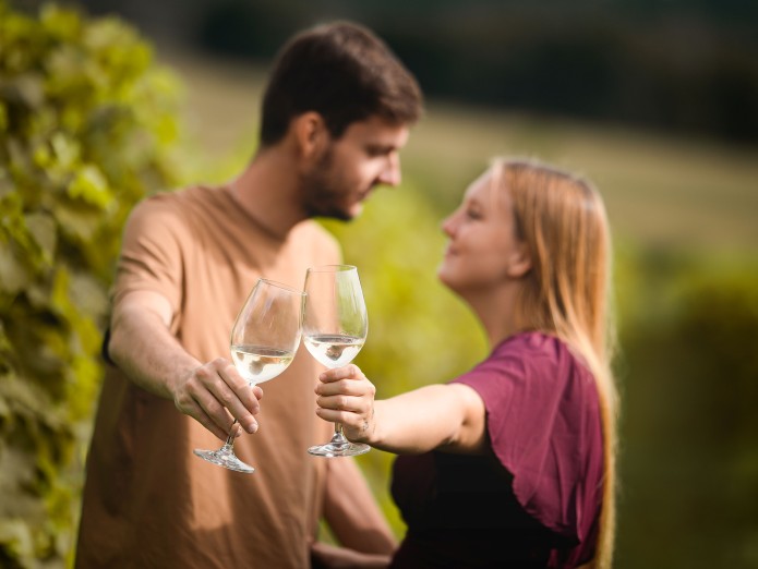 Vinicemi pod hradem Sádek vás provede vinařská naučná stezka. Foto Vít Bláha.