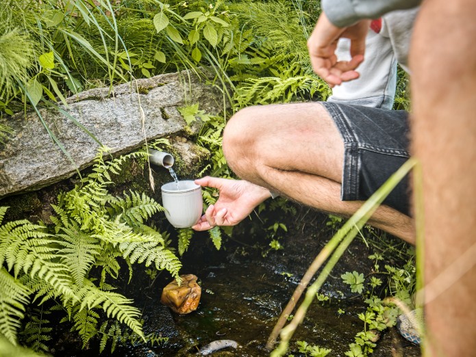 Naučná stezka JInošovské studánky vás provede lesy kolem Jinošova. Foto Vít Bláha.