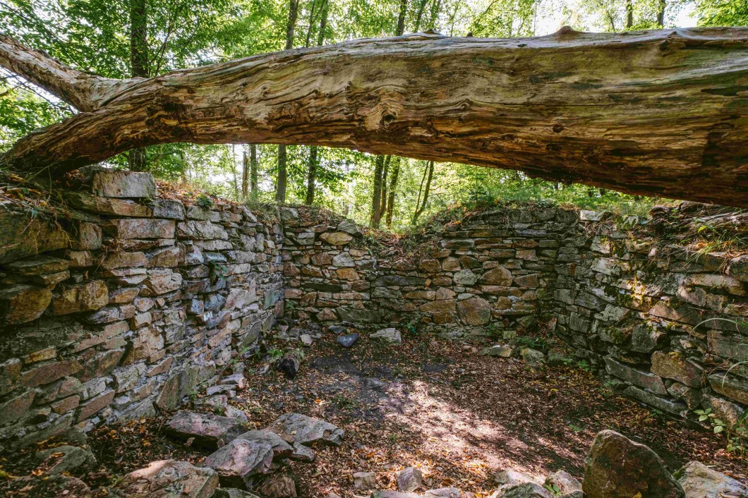 Sedlecký hrad Sedlecký hrad