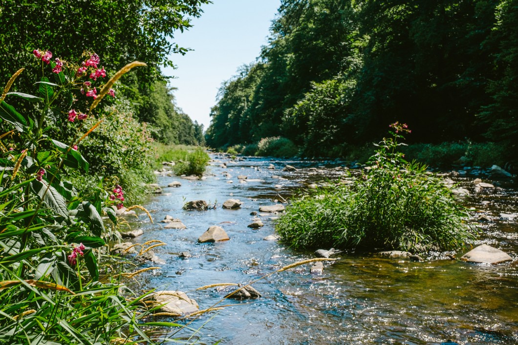 Údolí Oslavy a Chvojnice