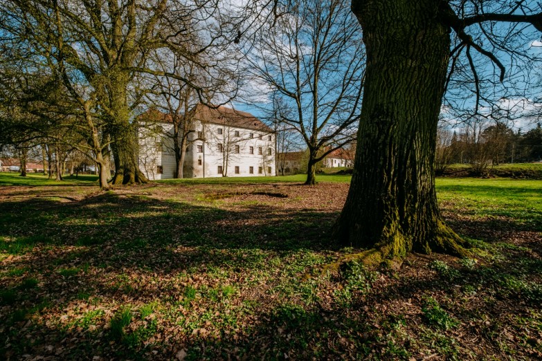 zámecký park Budišov