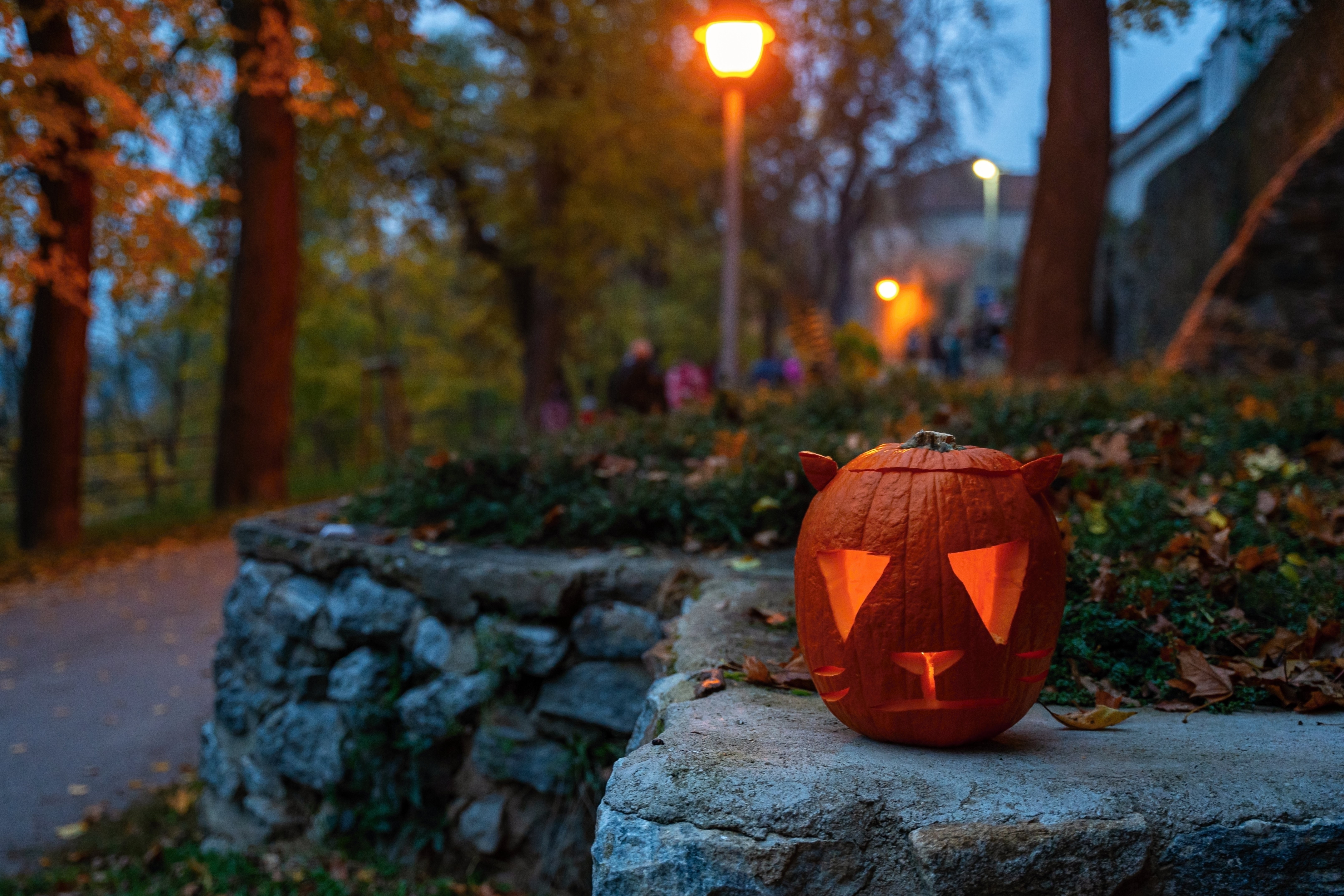 Vyřezat dýni si můžete třeba v Irish original pub v Třebíči. Foto David Baštář.