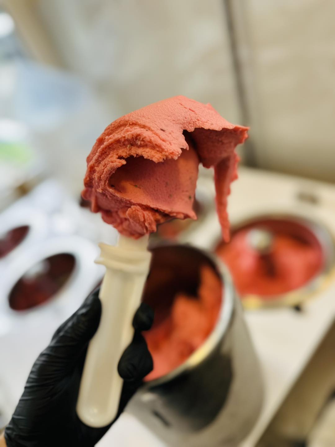 V Adam´s bistro&baru v Třebíči zažijete jedinečnou gastronomii, ale také vyrábí skvělé zmrzliny.