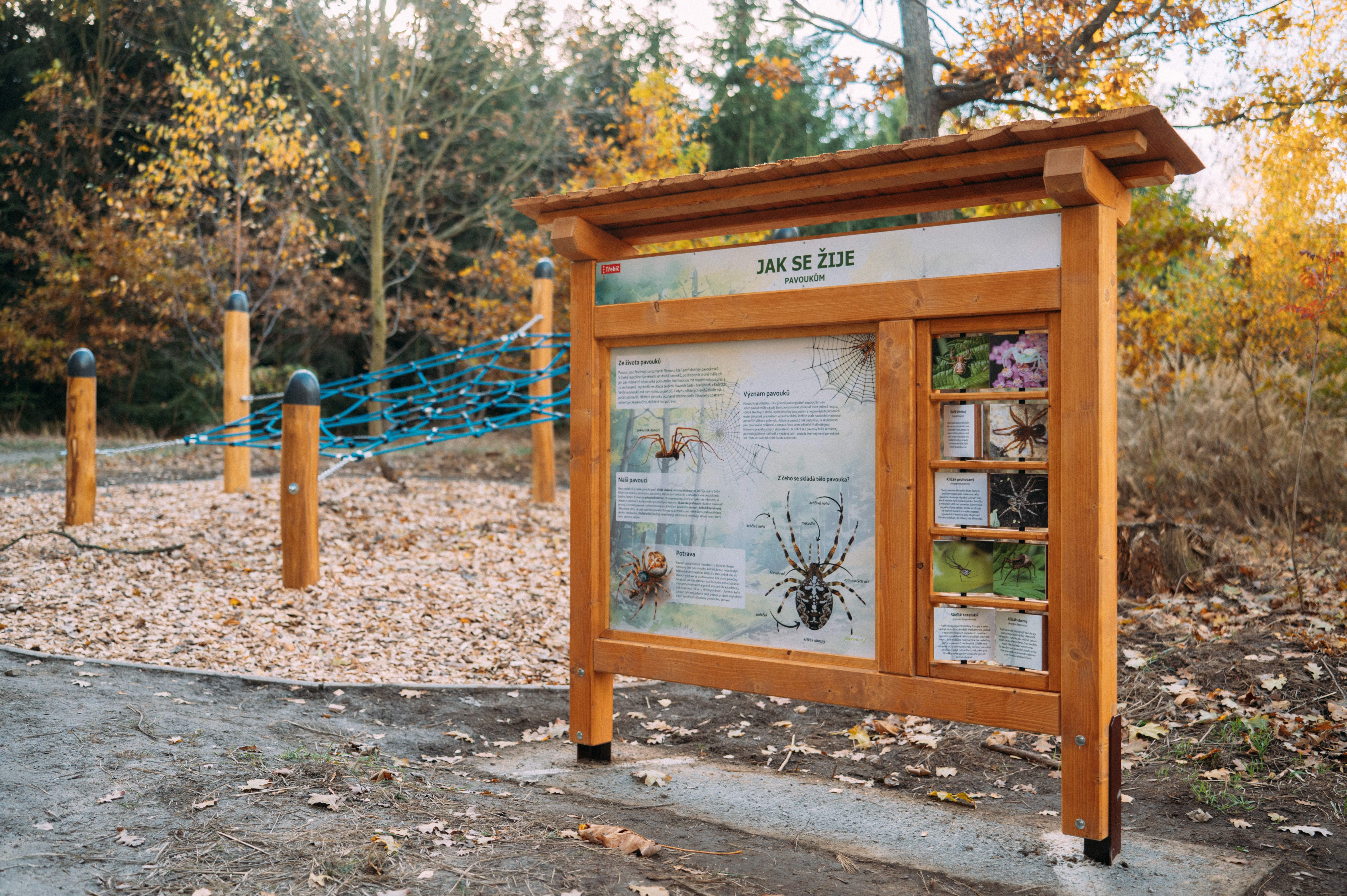 Zjistěte, jací pavouci žij na Třebíčsku. Foto Jakub Mertl. Zjistěte, jací pavouci žij na Třebíčsku. Foto Jakub Mertl.