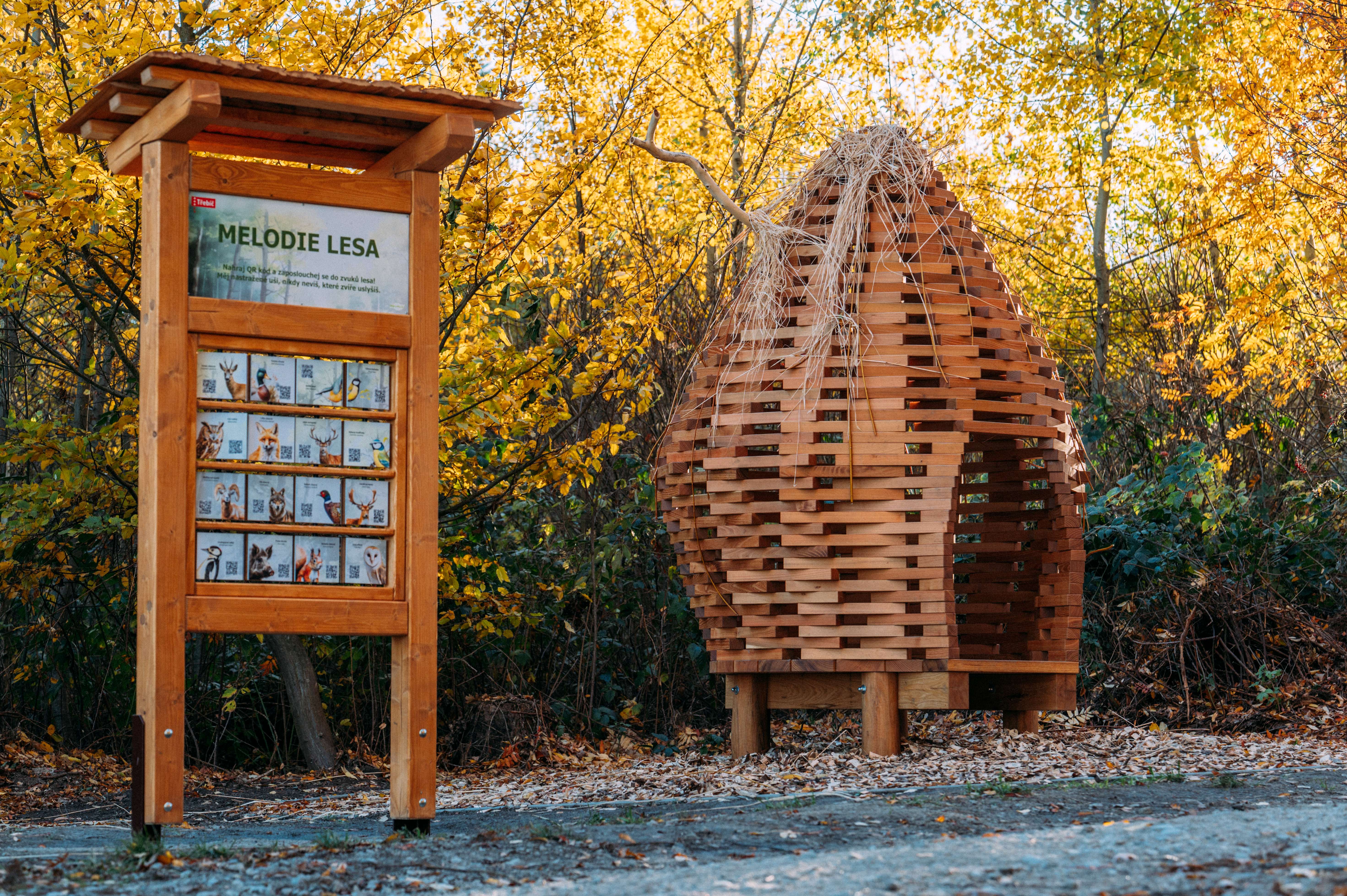 Ptačí hnízdo je jedním ze čtyř nových prvků na stezce. Foto Jakub Mertl. Ptačí hnízdo je jedním ze čtyř nových prvků na stezce. Foto Jakub Mertl.