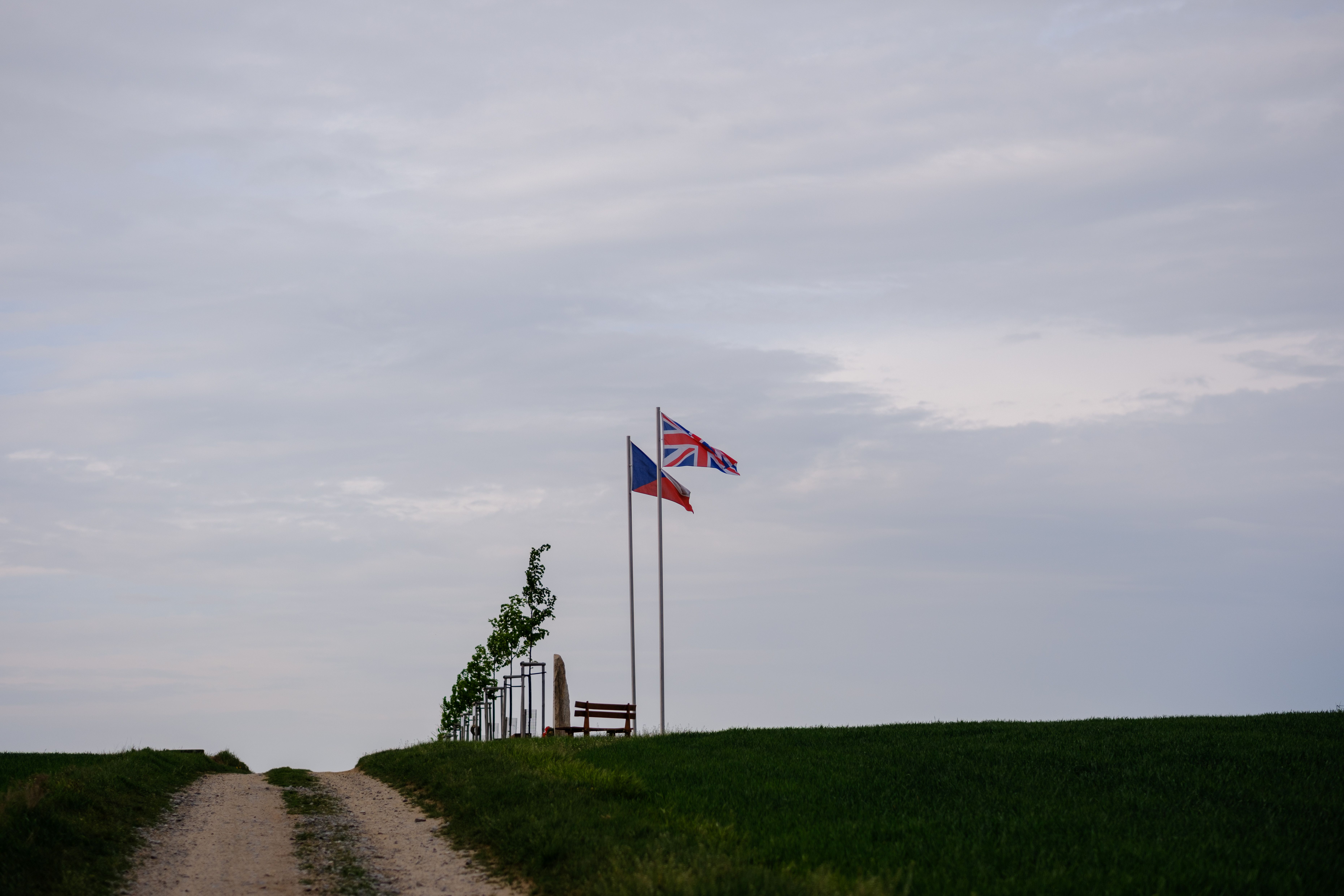 Alej československých parašutistů nedaleko Třebíče. Foto Bára Jahodová.